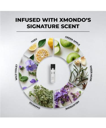 XMONDO Hair Wavetech Wave Setting Spray | Vegan Formula Designed with Waveflex Technology and Styling Polymers for Enhanced Waves Texture Pro-Vitamin B5 to Combat Breakage and Frizz Control 4 Fl Oz Wavetech Wave Setting Spray Max Hold - Buy Online on GoSupps.com