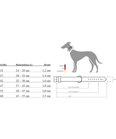 HUNTER Aalborg Leather Dog Collar - Simple Robust & Comfortable | Size M (52) - Black - Buy Online on GoSupps.com