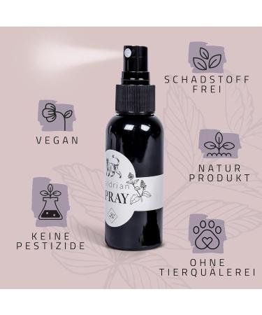 Buy ne & no Valerian Spray Gift Set for Cats - 2 x 50ml | Perfect for Toys Scratching Trees Litter Box | Enhance Playtime with Cat Mint Spray - Buy Online on GoSupps.com