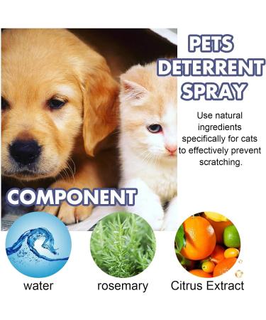 MRGIINRI Cat Wall Bed 50mlCat Spray Training Aid For Cat Scratch Furniture Protector Keep Pet Off Indoor Outdoor Use Cat Devices Indoor (A One Size) - Buy Online on GoSupps.com