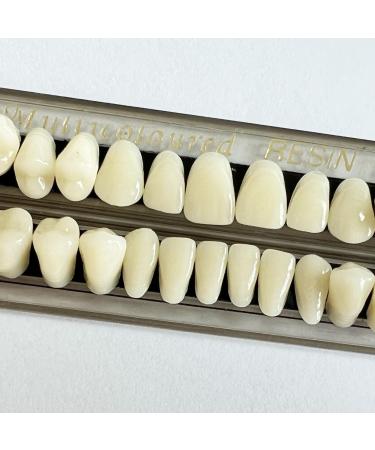 56 Pieces False Teeth Acrylic Resin Denture Replacement Kit - Horror Teeth Prop DIY | International Shipping Available - Buy Online on GoSupps.com