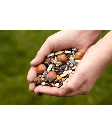 Canifee Squirrel Food 1kg - Species-Appropriate Wildlife Feed Mix with Hazelnuts - Year-Round Nutrition for All Squirrels - Premium Quality - Buy Online on GoSupps.com