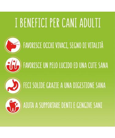 Purina Friskies Active Dog Food with Beef 9 kg - Buy Online on GoSupps.com