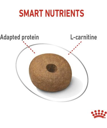 Royal Canin Medium Light Weight Care Adult Dry Dog Food 12kg Poultry 12 kg (Pack of 1) - Buy Online on GoSupps.com