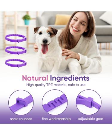 Nolace Calming Capacity Collar for Cats & Dogs - Soothing Adjustable Pheromone Collar (2 Pack) - Safe Waterproof Sedative for Fear Relief - Buy Online on GoSupps.com