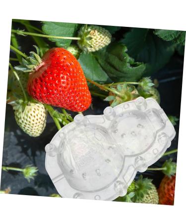 SEWOART 1 Set Shaping Clear Mold Vegetable DIY Molds Melon Stereotypes Plastic Forming Machine - Buy Online on GoSupps.com