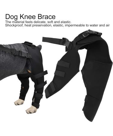 1 Pair Dog Leg Brace Pet Dog Hind Legs Protector Adjustable Knee Brace Leg Support for Dogs Hind Legs Recover M Bone & Joint Health Supplements - Buy Online on GoSupps.com