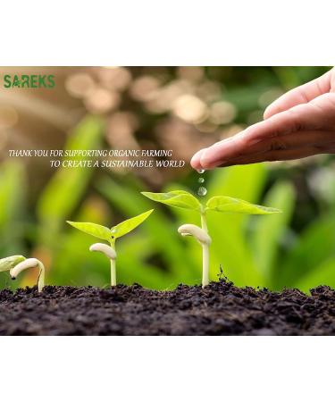 Sareks Organic Raw Bitter Apricot Seeds - 10oz Resealable Bag | USDA Certified, Non-GMO, Raw, Kosher, Vegan, Gluten-Free - Buy Online on GoSupps.com