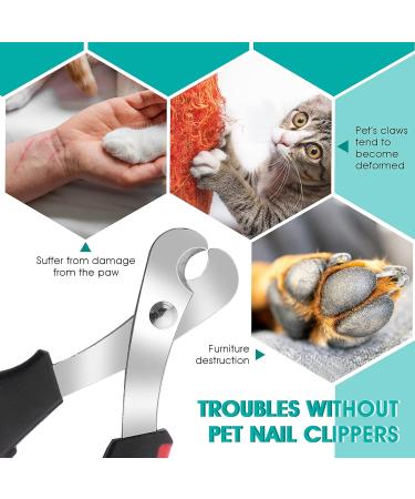 Cobee Cat Nail Clippers Professional Claw Trimmer Scissor + Pet Nail File for Cats Kittens Stainless Steel Cat Claw Clippers Scissors Trimmer Set for Small Animals Puppies Hamsters Birds(Black+Red) - Buy Online on GoSupps.com