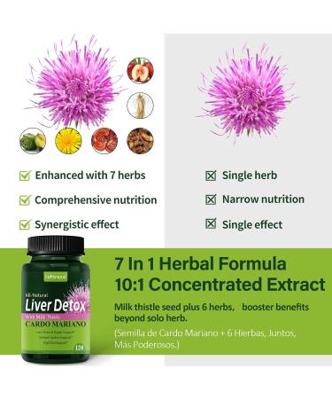 Silymarin Milk Thistle Liver Detox Capsules for Fatty Liver Alcachofa y Cardo Mariano con Silimarina para el Higado Graso Liver Cleanse Detox & Repair Formula w/Artichoke Extract. 120Count Milk Thistle 120 Count (Pack of 1) - Buy Online on GoSupps.com