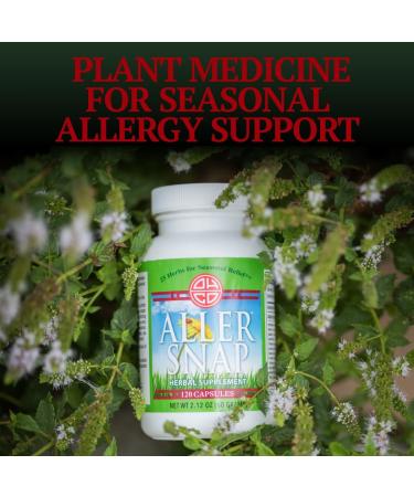 OHCO Aller Snap - Natural Chinese Herbal Supplement for Seasonal Allergy Relief - 120 Capsules - Buy Online on GoSupps.com