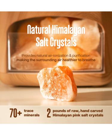 Himalayan Pink Salt Diffuser & 10 Essential Oils - 2-in-1 Therapeutic Device | Aromatherapy & Ionic Salt Therapy | 400ml Ultrasonic Vaporizer with Ambient Glow - Buy Online on GoSupps.com