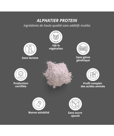 Alphatier Vegan Protein Powder - Chocolate Brownie - Protein Powder with 72% Protein - Soy Protein Isolate - 1kg - Buy Online on GoSupps.com