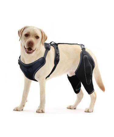 Dog Knee Brace for Torn ACL Hind Leg and Luxating Patella Dog Leg Brace with Metal Hinged Support for Better Support and Recovery Both Leg Hind Leg Luxating Patella Dysplasia Arthritis Joint Pain(Med Medium