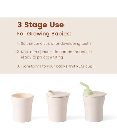 Miniware 1-2-3 Sip! Training Cup for Baby Toddler Self Feeding & Development Tiny Cup Perfect for Baby Led Weaning Non Drip Lid Dishwasher Safe (2 Pack Aqua + Key Lime) Aqua + Key Lime 2 Pack - Buy Online on GoSupps.com