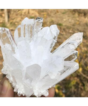 1pc Natural Rare White Quartz Crystal Cluster Specimen (Size : 260-300g) - Buy Online on GoSupps.com