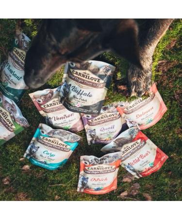 Carnilove Dog Ostrich and Blackberries 300 g - Buy Online on GoSupps.com