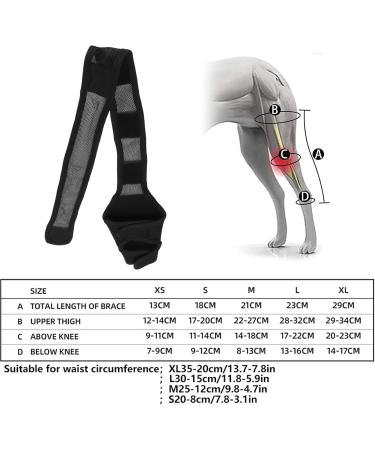 Dog Elbow Brace Protector Pads Hygroma Elbow Pad and Shoulder Protector for Canine Elbow and Shoulder Support Elbow Hygroma Dysplasia Osteoarthritis Elbow Calluses Pressure (Black) XL Black - Buy Online on GoSupps.com