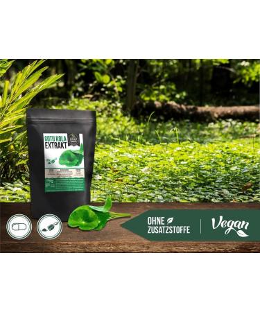 Gotu Kola Extract Powder 100g | High-Dose 10% Asiaticoside | Vegan & Additive-Free | Premium German Quality - Buy Online on GoSupps.com