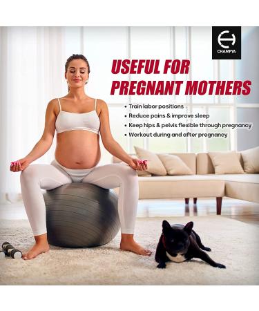 65cm Yoga Ball Chair for Pregnancy, Physical Therapy & Office - Stability Ball with Stainless Steel Pilates Bar - Black - Buy Online on GoSupps.com