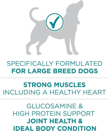 Purina ONE +Plus Large Breed Dry Dog Food with Chicken - 7 kg Bag 7 kg (Pack of 1) - Buy Online on GoSupps.com