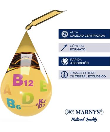 MARNYS VITAMINA B6 liquida 30ml. compl ment sp cialis pour soutenir l organisme contenance 6 l favorise le bien- tre lorsqu il est utilis de fa on continue et devient un alli fiable dans la rou - Buy Online on GoSupps.com