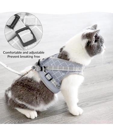 Outbreak-Proof Cat Dishes with 5m Leash Set | Automatic Retractable Cat & Dog Line - Buy Online on GoSupps.com