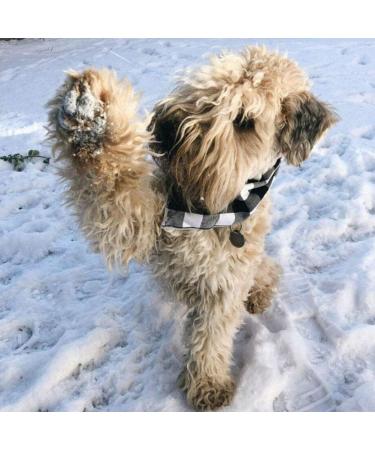 Oyccen 4PCS Checkered Dog Bandanas - Cotton Dog Scarves for Small Medium & Large Dogs & Cats - Buy Online on GoSupps.com