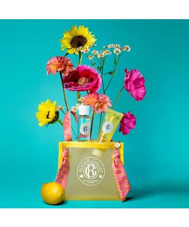 Roger & Gallet | Travel Pouch Travel Set | Includes 1 oz Fragrance Water 1.6 oz Shower Gel & Limited Edition Travel Pouch | All Natural Body Care (Citron | C drat) Travel Pouch - Citron - Buy Online on GoSupps.com