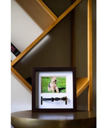 Pearhead Pet Collar Keepsake Picture Frame - Espresso Collar Frame - Buy Online on GoSupps.com