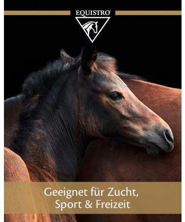 Equistro Triforce Powder 600g for Horses - Buy Online on GoSupps.com