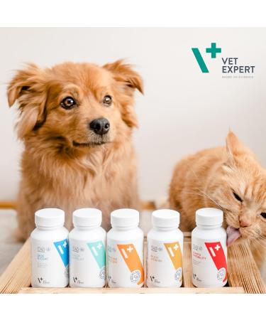 Vet Expert Supportive preparation for dogs and cats with dermatological diseases which gets rid of dry dull and falling hair 1 pack (1 x 30 g) - Buy Online on GoSupps.com