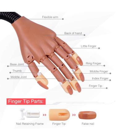 Nail Practice Hand for Acrylic Nails - HoMove Flexible Movable Mannequin Hand with 300 PCS False Nail Tips - DIY Manicure Starter Kit (Brown) - Buy Online on GoSupps.com