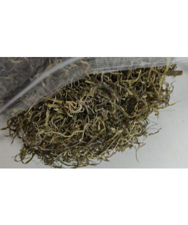 Wakame Stalk Seaweed Dried Natural Dried For Salad From China 600g in Bulk - Buy Online on GoSupps.com