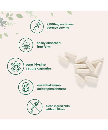 Pure L-Lysine 2 000mg 300 Veggie Capsules | Maximum Potency Easily Absorbed Free Form | Essential Amino Acid for Collagen Lip & Immune Support | Clean Ingredients Without Fillers - Buy Online on GoSupps.com
