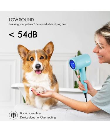 Portable Ionic Hair Dryer with Diffuser & Nozzle | Fast Drying Low Noise Lightweight Travel Hair Dryer - Shop Now - Buy Online on GoSupps.com