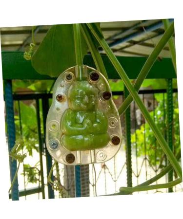 Yardenfun 5pcs Vegetable Ginseng Fruit for Garden Fruit Vegetable Small Fruit Gourd - Buy Online on GoSupps.com