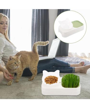 FOMIYES 2pcs set Handheld Styling Use Shaping Strap Pencil Tool Stencil Reusable Eyebrow for Stenci De with - Buy Online on GoSupps.com