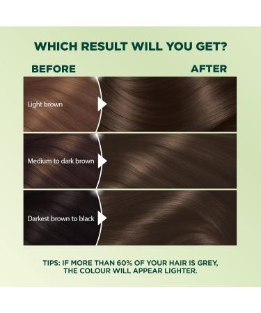Garnier Nutrisse Ultra Cr me Permanent Hair Dye 100% Grey Coverage Vegan Formula Nourished Hair Long-Lasting Rich Colour 43 Dark Golden Brown 1 Application Packaging May Vary BROWN SHADES 43 Dark Golden Brown - Buy Online on GoSupps.com