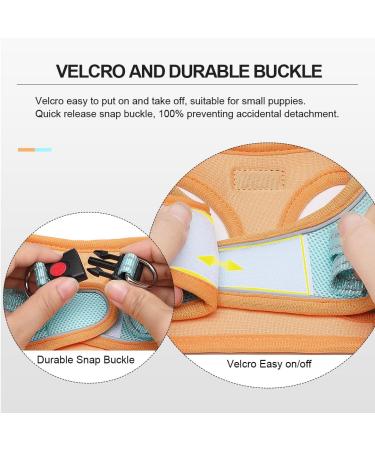Shop Doramio Dog Harness for Small Dogs & Cats - Reflective Breathable Step-in Design with Leash | Safe & Stylish (M Orange Blue) - Buy Online on GoSupps.com