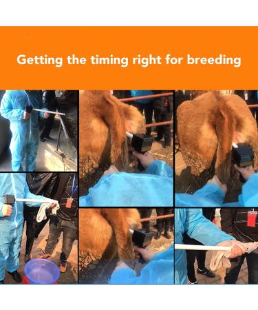 Pig Ovulation Detector with Arc Probe Non Destructive Detection Digital Display Sow Ovulation Tester for Livestock Estrous Test - Buy Online on GoSupps.com