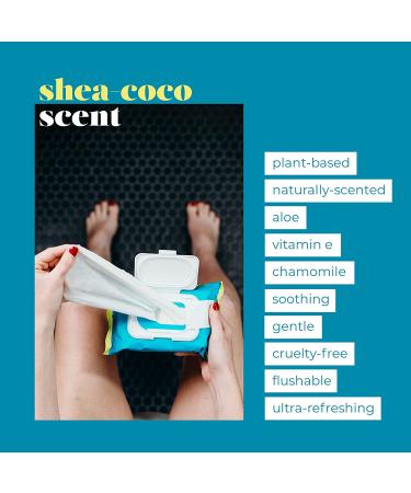 Goodwipes Flushable & Biodegradable Wipes with Botanicals | 180 Count (3 Packs) | Shea-Coco with Aloe | At-Home Use Safe | Septic-Sewer Safe - Buy Online on GoSupps.com