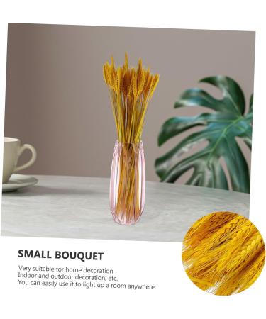 HOMSFOU 100pcs Dried Wheat Ears Bouquet Decor Wedding Wheat Ear Wheat Stalk Natural Wheat Ear Dry Flowers Home Wheat Ear Flowers Wheat Ear Dried Flowers. Rural Real Flower Yellow 52X10CM - Buy Online on GoSupps.com