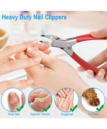 GLAMFIELDS Adult Toe Nail Clippers - Heavy Duty Podiatrist Tool for Thick/Ingrown Nails - Ideal for Seniors/Men/Women (Red) - Buy Online on GoSupps.com
