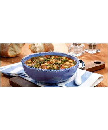 BUSH'S BEST Organic Garbanzo Beans Canned Beans Organic Chick Peas USDA Certified Organic Source of Plant Based Protein and Fiber Low Fat Gluten Free (6) 15 Ounce (Pack of 6) - Buy Online on GoSupps.com