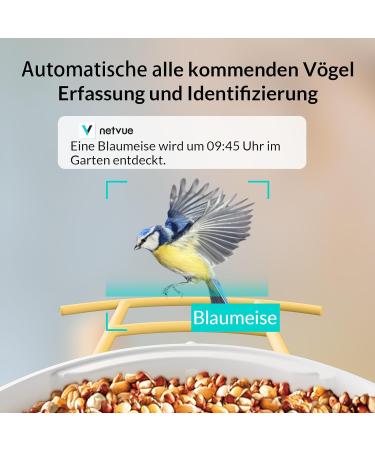 Birdfy Bird Feeder with Camera - AI Detection Video Recording & Solar Powered - Ideal for Wild Bird Feeding - Buy Online on GoSupps.com