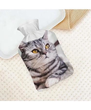Fat Cat Hot Water Bottle with Plush Cover - Cozy Hand Warmer for Adults & Children (26.5x15.3cm) - International Shipping - Buy Online on GoSupps.com
