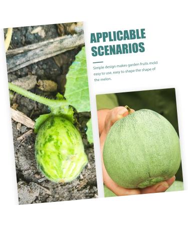 SUPVOX 2pcs Fruit Shaping Fruits Clear Creative Melon Shaper Stereotypes - Buy Online on GoSupps.com