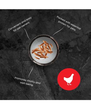 Dried Black Soldier Fly Larvae Chicken Treats for Chicken Hens Duck Bird Lizard Tortoise - High Protein - 5 Pounds - Buy Online on GoSupps.com