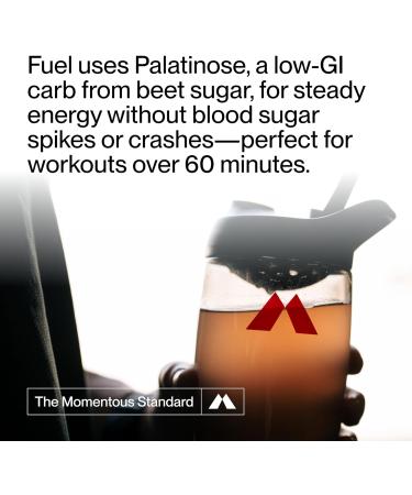 Momentous Fuel Intra-Workout Energy & Hydration Drink Mix - Powder for Sustained Energy During Workouts - NSF Certified for Sport - GMO- & Gluten-Free - 15 Servings - Passion Orange Guava Passion Orange Guava 1.09 Pound (Pa  - Buy Online on GoSupps.com